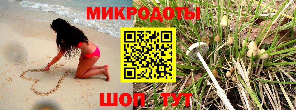 Псилоцибиновые грибы Psilocybe  Галлюциногенные грибы Psilocybe  Апшеронск 