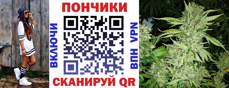 Шишки марихуана сатива  даркнет состав  Апшеронск 